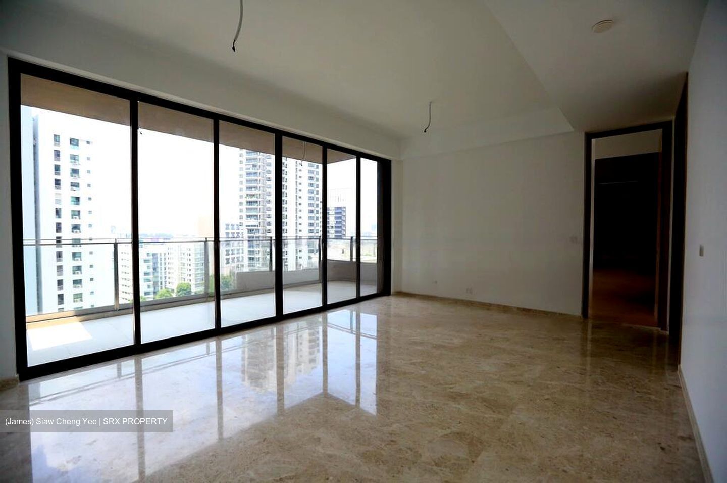 The Avenir (D9), Condominium #458746411